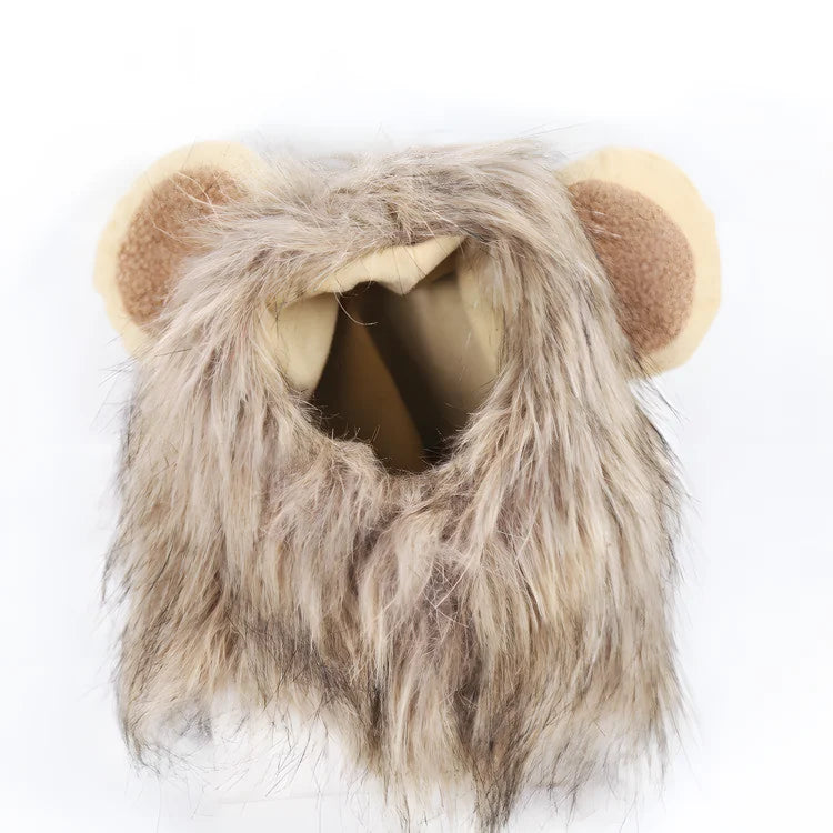 953a703adae0449f87b5b7d13abecfe3
