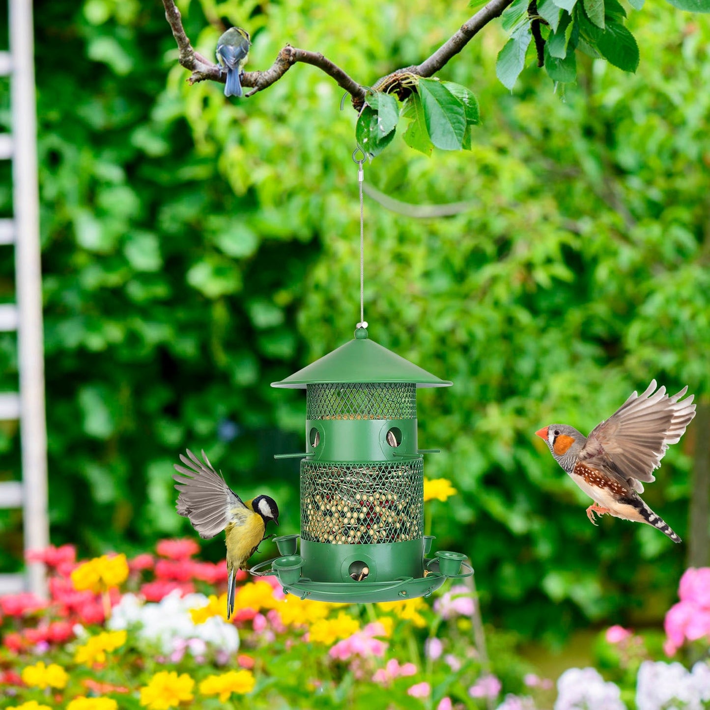 Green Metal Squirrel-Proof Wild Bird Feeder with 360° Perches