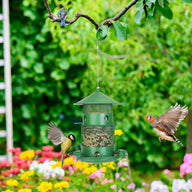 Green Metal Squirrel-Proof Wild Bird Feeder with 360° Perches