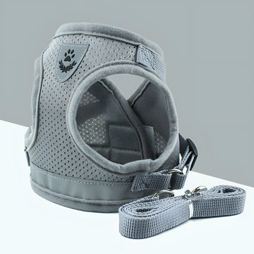 Breathable Mesh Dog Leash with Reflective Strap and Hook & Loop Closure