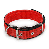 Soft Leather Lined Polypropylene Foam Dog Collar