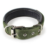 Soft Leather Lined Polypropylene Foam Dog Collar