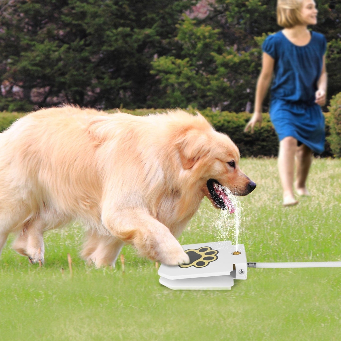 Step-On Activated Dog Water Fountain with Paw Pedal Valve White