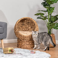 Handwoven Elevated Wicker Cat Bed with Egg Chair Basket Design