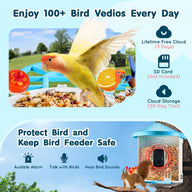 Smart Solar Powered Bird Feeder with AI Camera Identification
