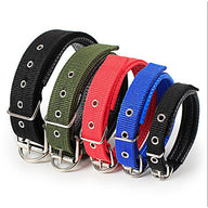 Soft Leather Lined Polypropylene Foam Dog Collar
