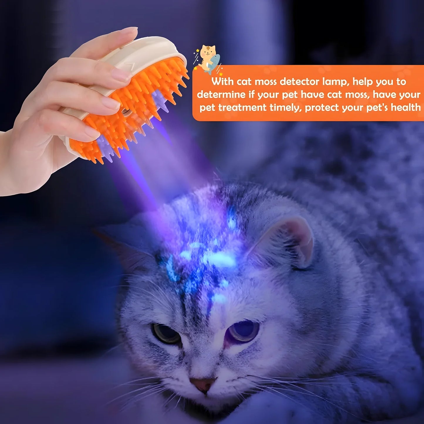 21477ef491faa86764f34733f0ce6d00