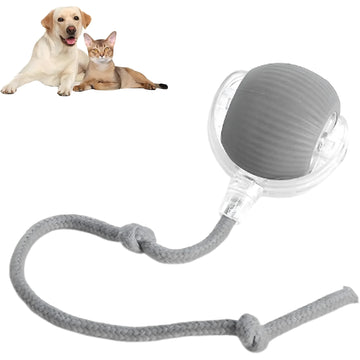 360° Automatic Rolling Ball Interactive Dog Toy in Transparent Plastic