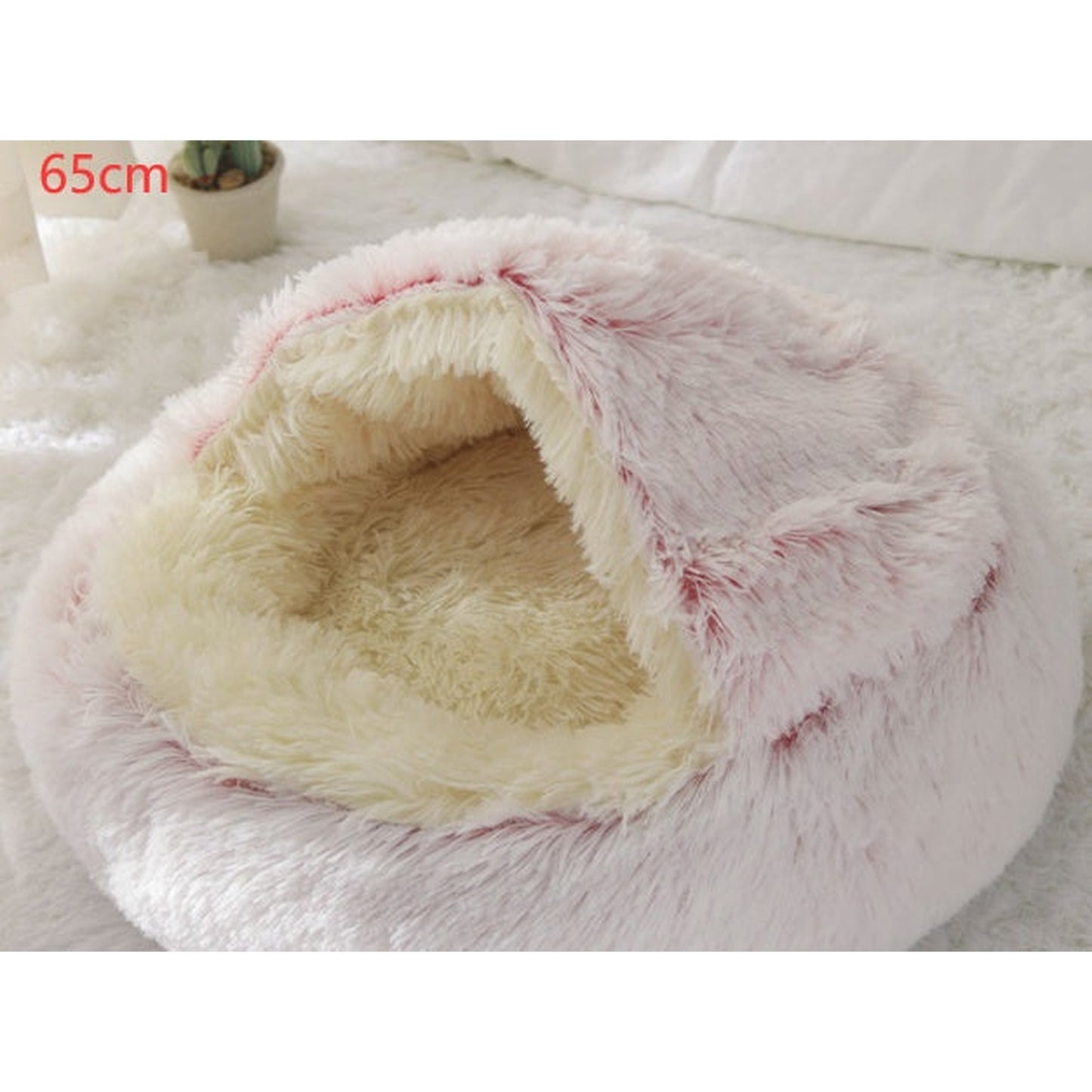 d261fc01b9b55304c399a295a6c5950