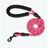 30fd704ce7131e6dbe21a02593dc1bf