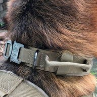 Adjustable Nylon Dog Collar in Army Green, Black & Yellow