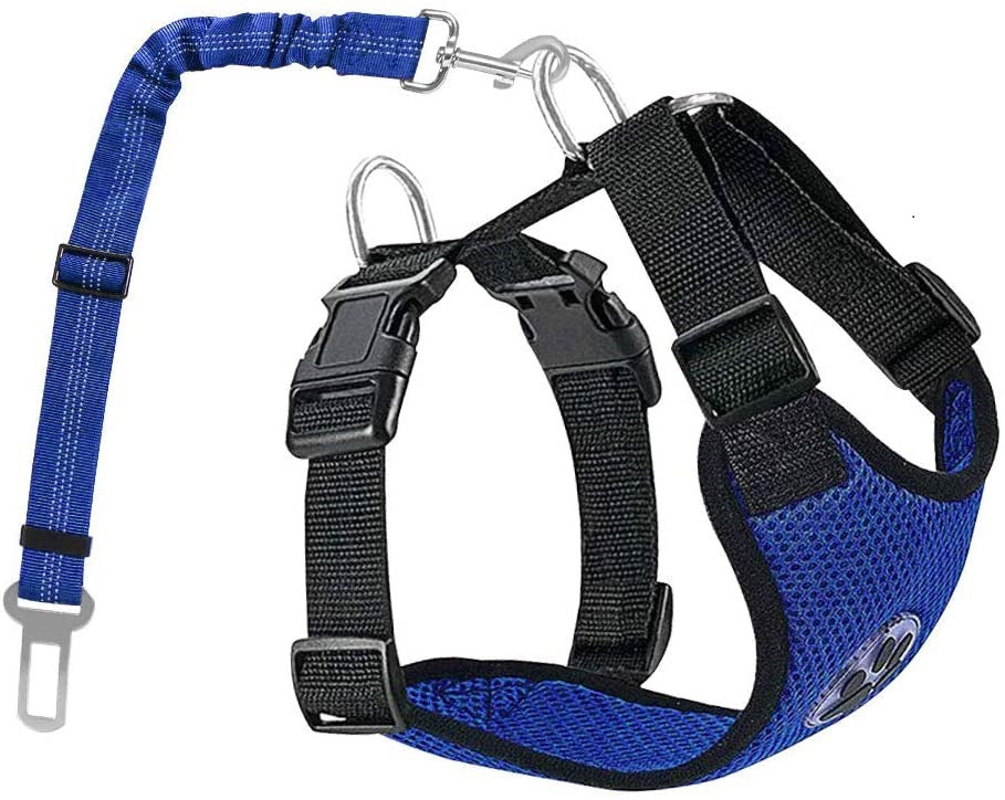 New Pet Reflective And Breathable Dog Rope