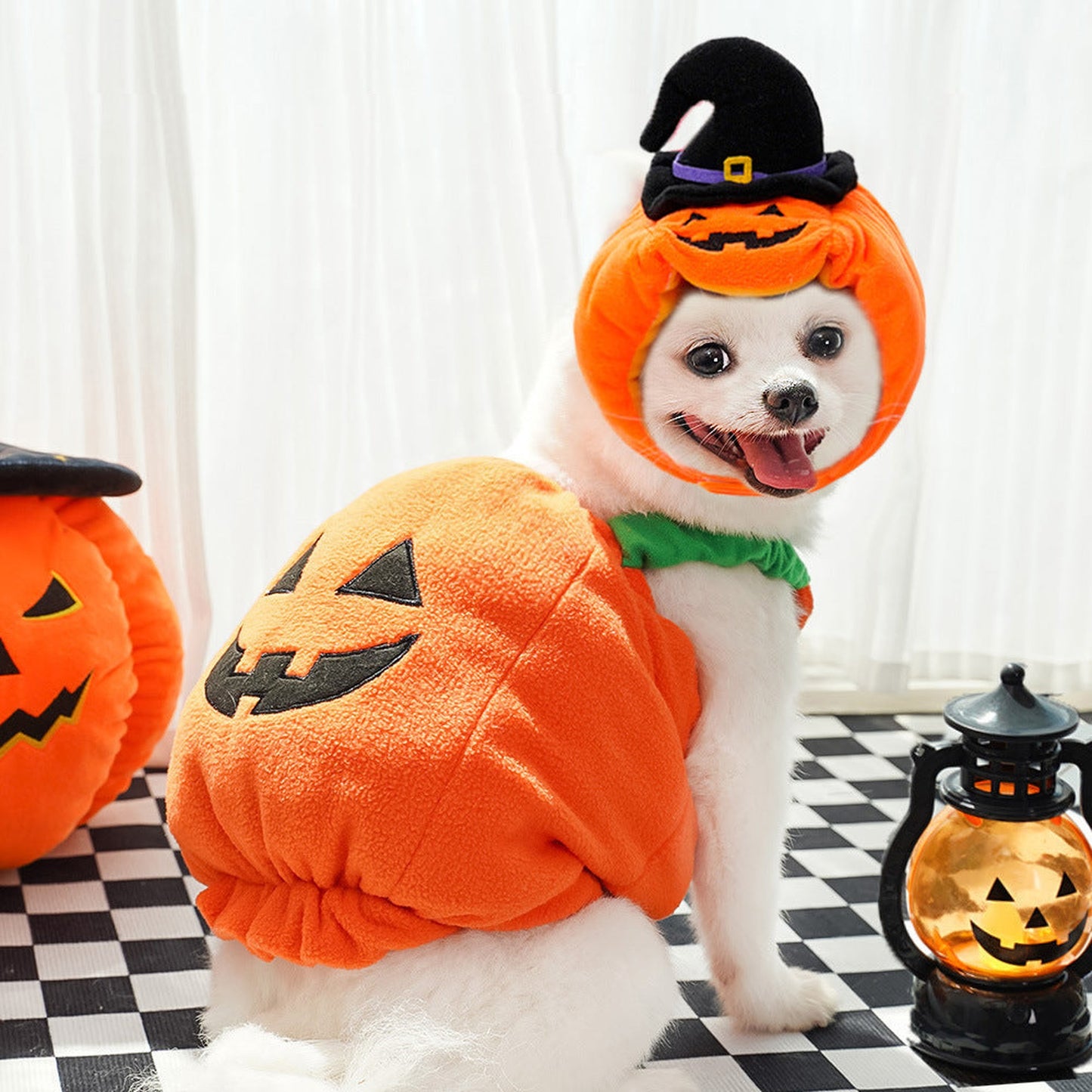 3f3b098ee404d61058d556c3bfefe969