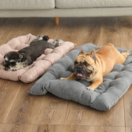 Summer Folding Fabric Sofa Dog Bed for Small & Medium Dogs