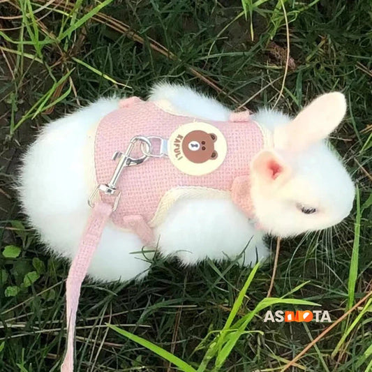 Cartoon Print Cat Rabbit Harness and Leash Set Bunny Rabbits Pet Accessories Bunnies Vest Clothes lapin accessoires pour animaux
