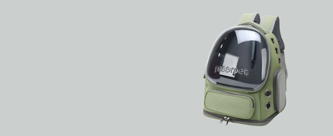  TAKE 15% OFF THE LEASH