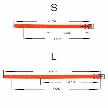 JanPet Fashion TPU Dog Pet Collars High quality waterproof deodorant Resistant dirt Easy clean collars 10 Colors Pet Products