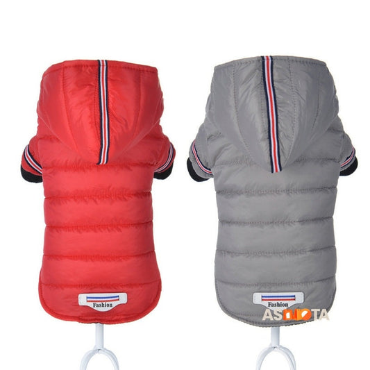 Pet clothes, autumn and winter cotton jacket, small dog