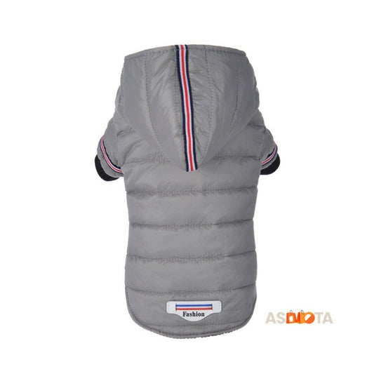 Pet clothes, autumn and winter cotton jacket, small dog