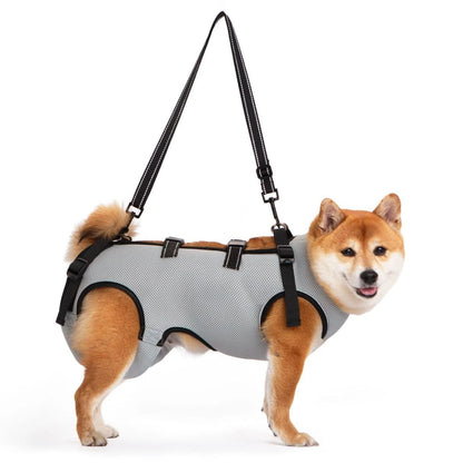 Summer Dog Lift Harness,Dog Assistance Strap,Adjustable Pet Support & Rehabilitation Sling Lift,for Joint Injuries,Disabled Dogs