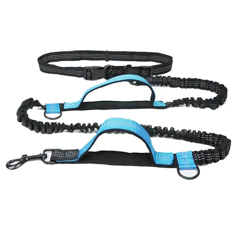 Pet Retractable Belt Leash For Running Reflective Retractable Hand Free Dog Leash with Adjustable Waist Rope For Outdoor Running