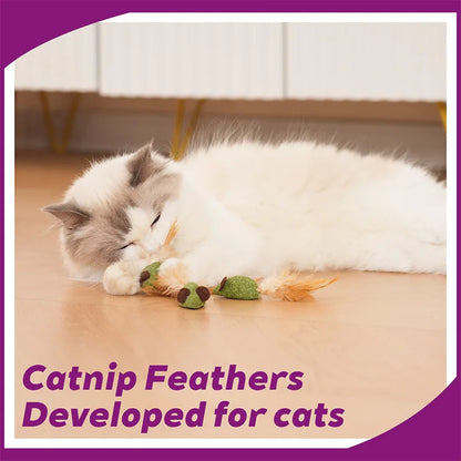 Mouse Cat Toys Catnip Feather Ball Self Cleaning Teeth Interactive Home Chasing Game Toy Products Cat Mint Ball Training Toys