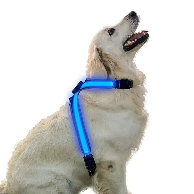 Color Changing Dog Collar Explosion Resistant Reflective Vest Adjustable Chest Harness LED Light Pet Leash