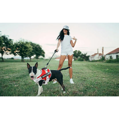 Dog Vest Harness and Patches Set with leash，Reflective Dog Vest with Handle for Small, Medium, Large, and Extra-Large Dogs