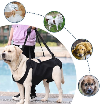 Dog Body Support Dog Lift Harness for Injured Elderly Dogs Disabled Pet Supplies