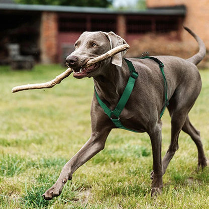 Husky H-Shaped Pet Dog Harness Explosion-Proof Soft Chest Strap Medium Large Dog Traction Durable Nylon Pet Leash Accessories