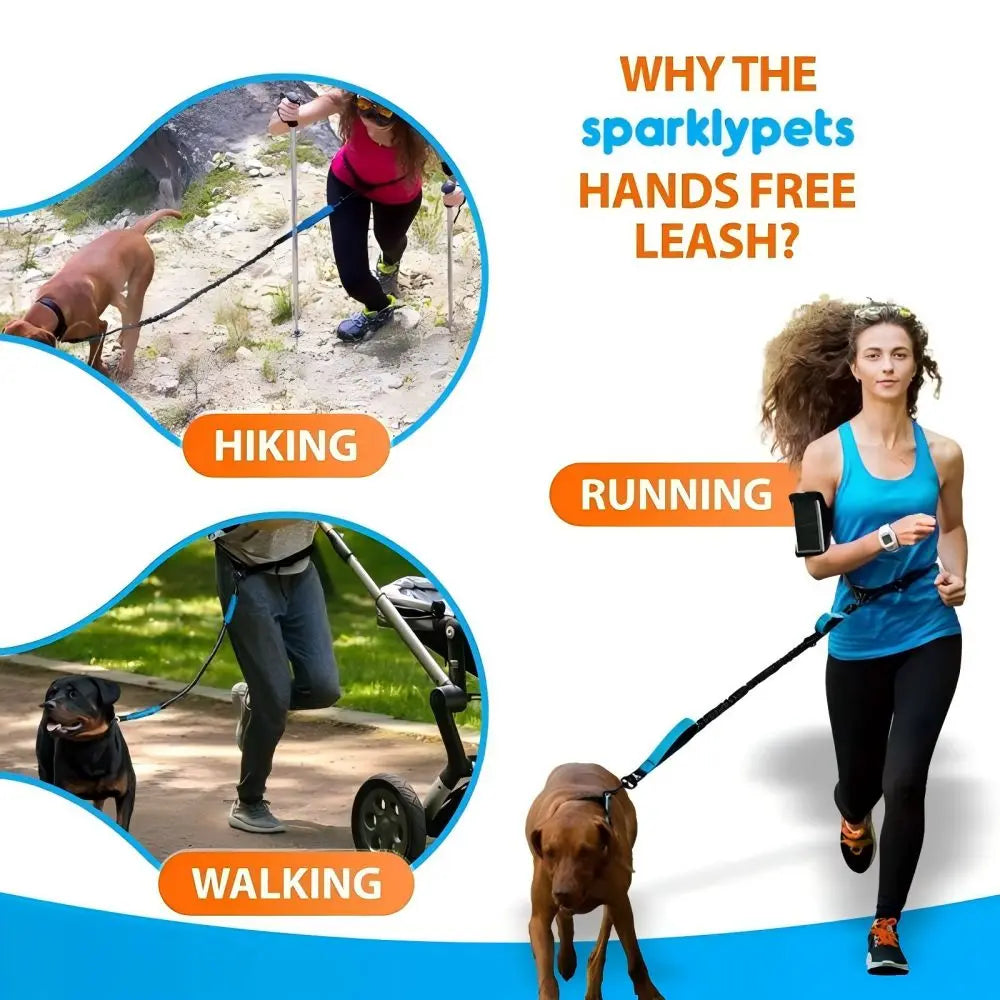 Pet Retractable Belt Leash For Running Reflective Retractable Hand Free Dog Leash with Adjustable Waist Rope For Outdoor Running