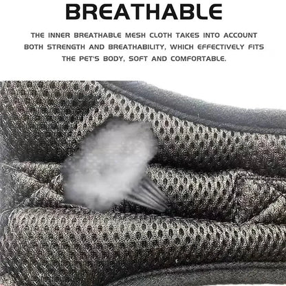 Dog Harness Leash Set Adjustable Pet Chest Strap For Small Medium Dogs Outdoor Dog Walking Chest Strap Pets Supplies