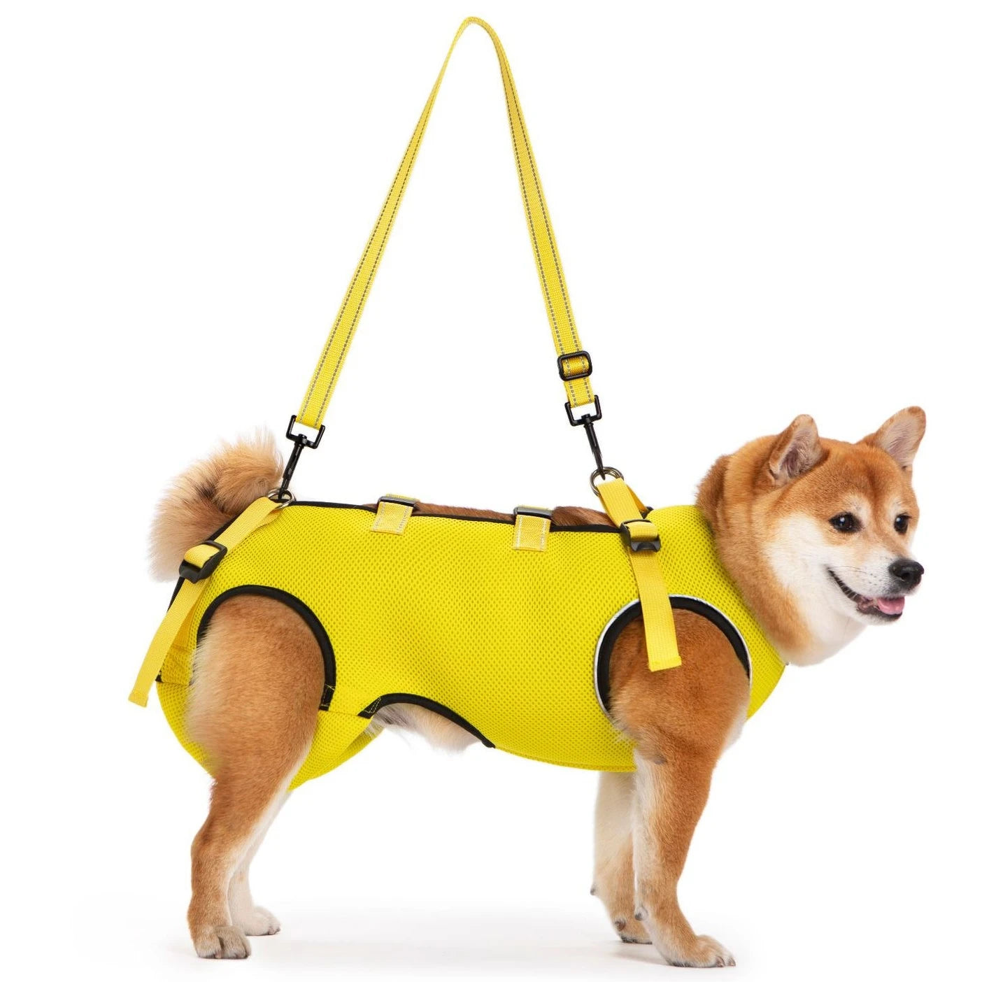 Summer Dog Lift Harness,Dog Assistance Strap,Adjustable Pet Support & Rehabilitation Sling Lift,for Joint Injuries,Disabled Dogs