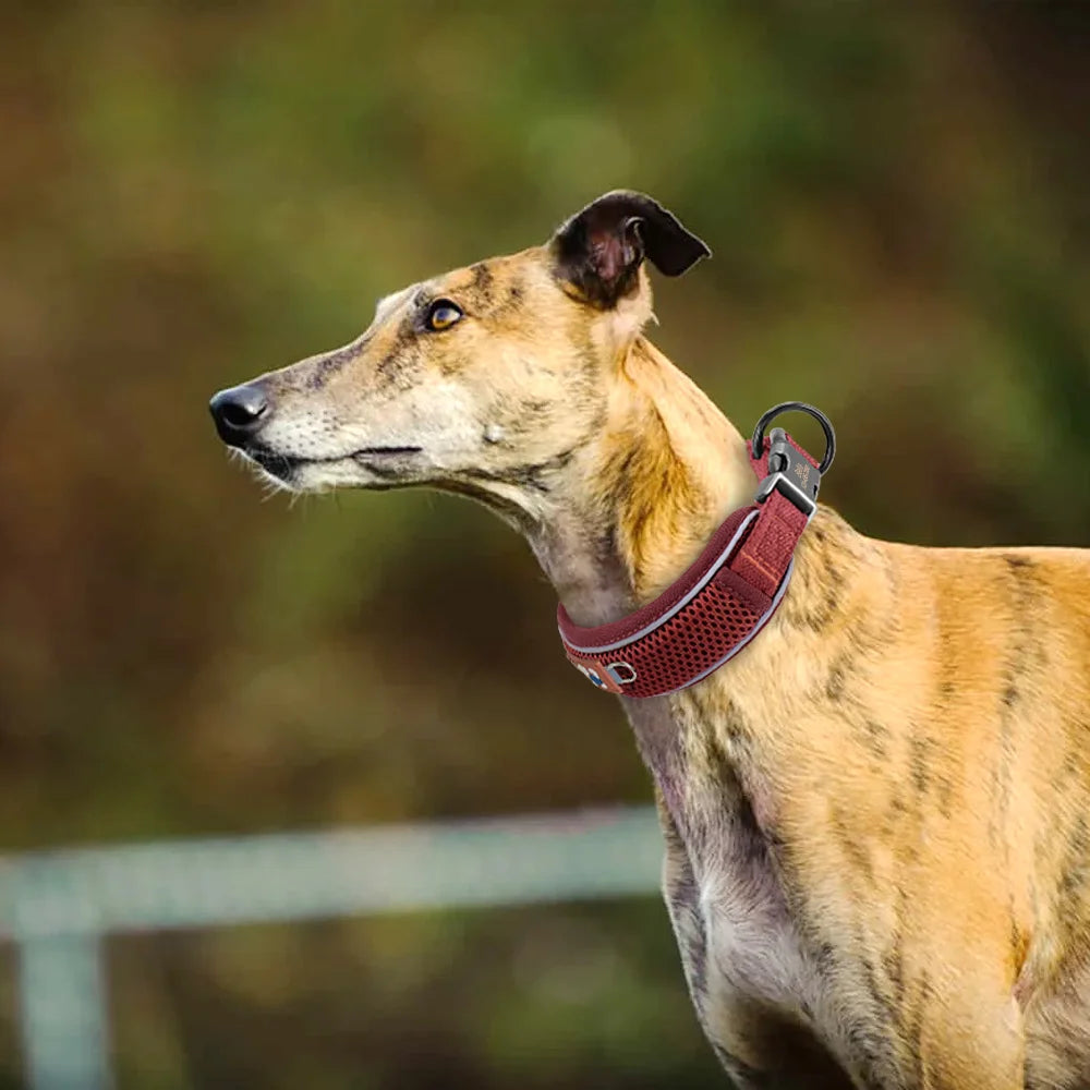 Personalized Dog Collar Mesh Breathable Dog Collars Reflective Pet Necklace Durable For Small Medium Large Dogs Free Engraving