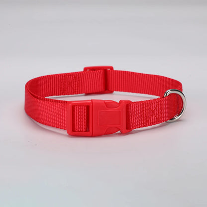 Adjustable Nylon Dog Collar Durable Basic Dog Collar for Small Large Dogs French Bulldog Safety Walking Training Pet Supplies