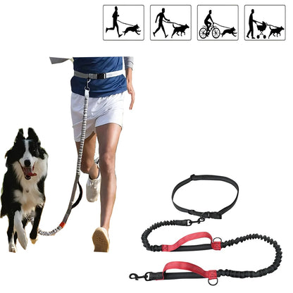Pet Retractable Belt Leash For Running Reflective Retractable Hand Free Dog Leash with Adjustable Waist Rope For Outdoor Running