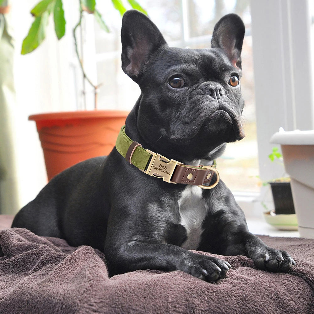 Leather Dog Collar Engraved Dog Collars Adjustable Pet Buckle ID Necklace Durable for Small Medium Large Dogs Pug