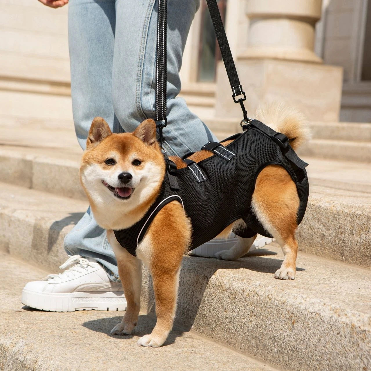 Summer Dog Lift Harness,Dog Assistance Strap,Adjustable Pet Support & Rehabilitation Sling Lift,for Joint Injuries,Disabled Dogs