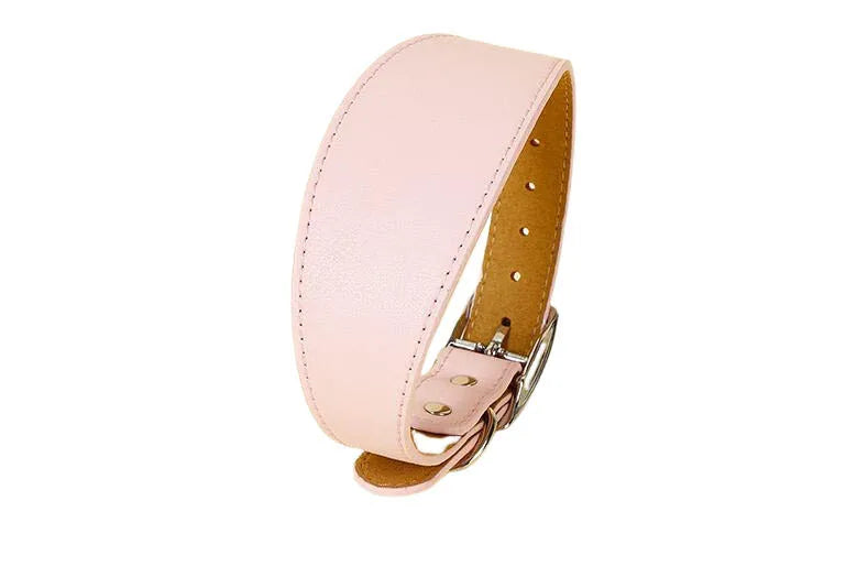 Wide Leather Dog Collar for Small Medium Large Dogs, Greyhound Deerhound Lurcher Whippet Dachshund Collar Pet Accessories