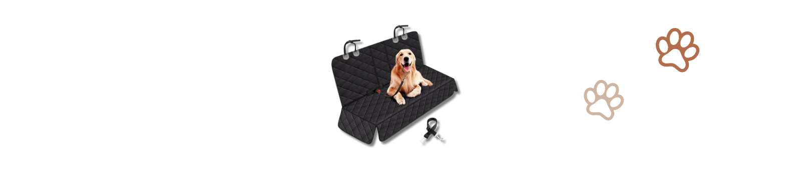 Travel & Safety Essentials