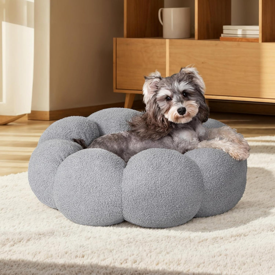 Calming Comfort