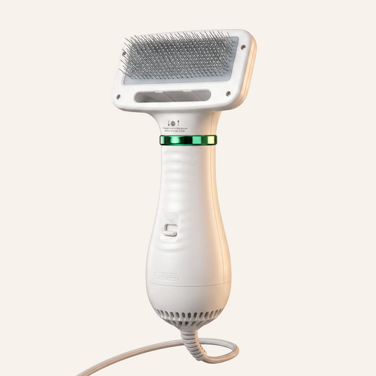 Asmota electric dog hair dryer comb with white plastic body, two-speed airflow, and gentle angled grooming bristles.