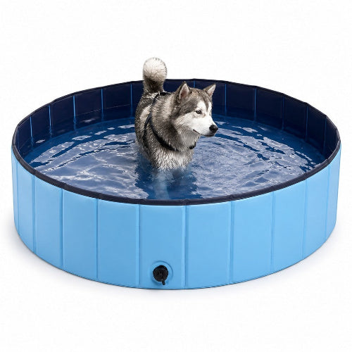 Asmota foldable blue PVC dog swimming pool with a husky standing inside on a white background