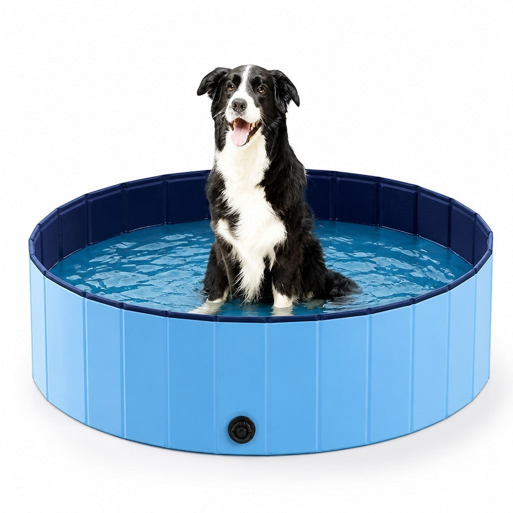 Asmota foldable blue PVC dog swimming pool with a black and white Border Collie sitting inside on a white background