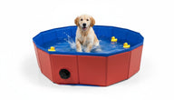 Asmota foldable pet swimming pool in red and blue with a golden retriever playing inside with yellow rubber ducks.