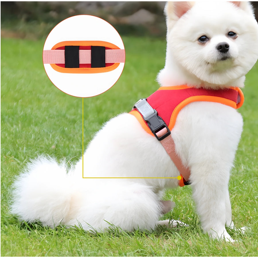 Walk Gear