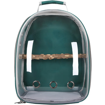 Convenient Transparent Plastic Bird Carrier with Handle and Ventilation
