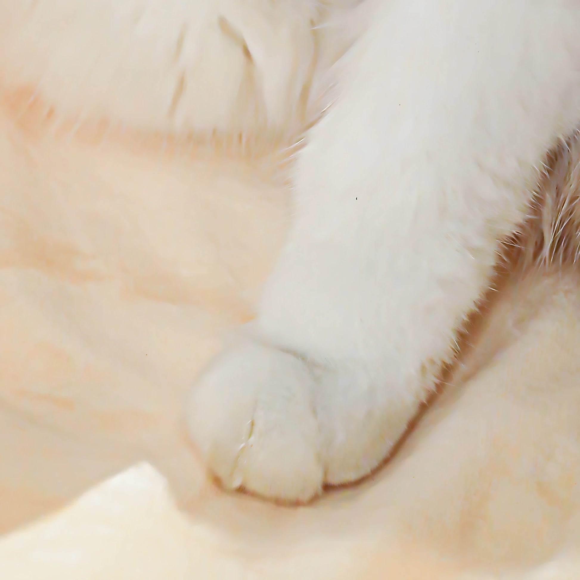2af3a51ffe9b0c3eb77d1a5b81ebac52