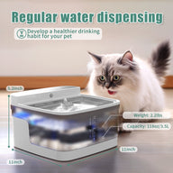 Transparent Plastic Dog Water Fountain with Pump and Filter