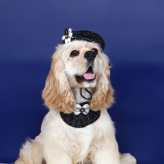 Flower Pattern Dog Beret Hat and Bow Lace Bib Set